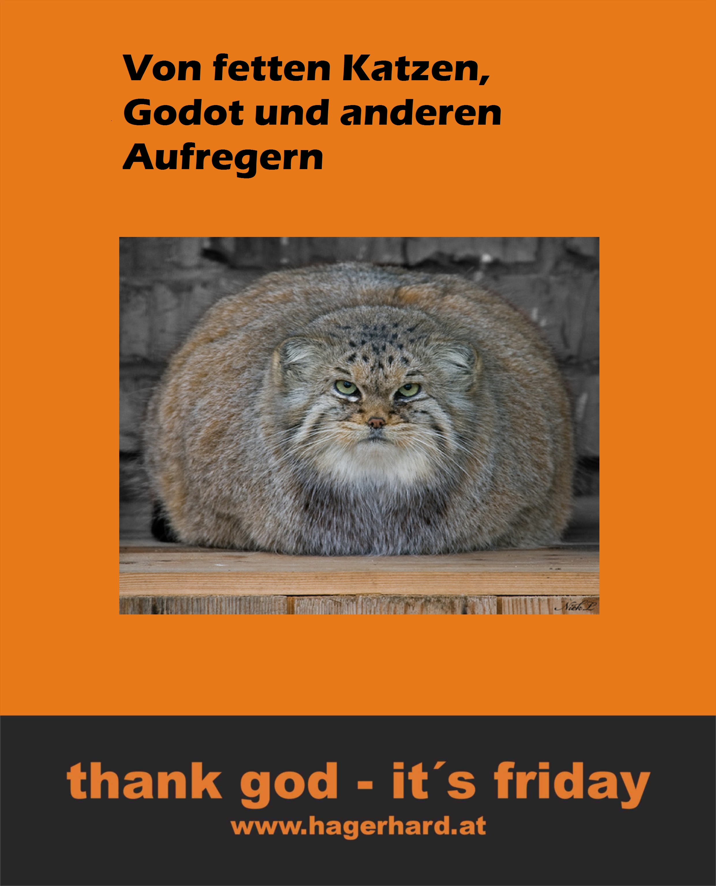 von fetten katzen, godot und anderen aufregern