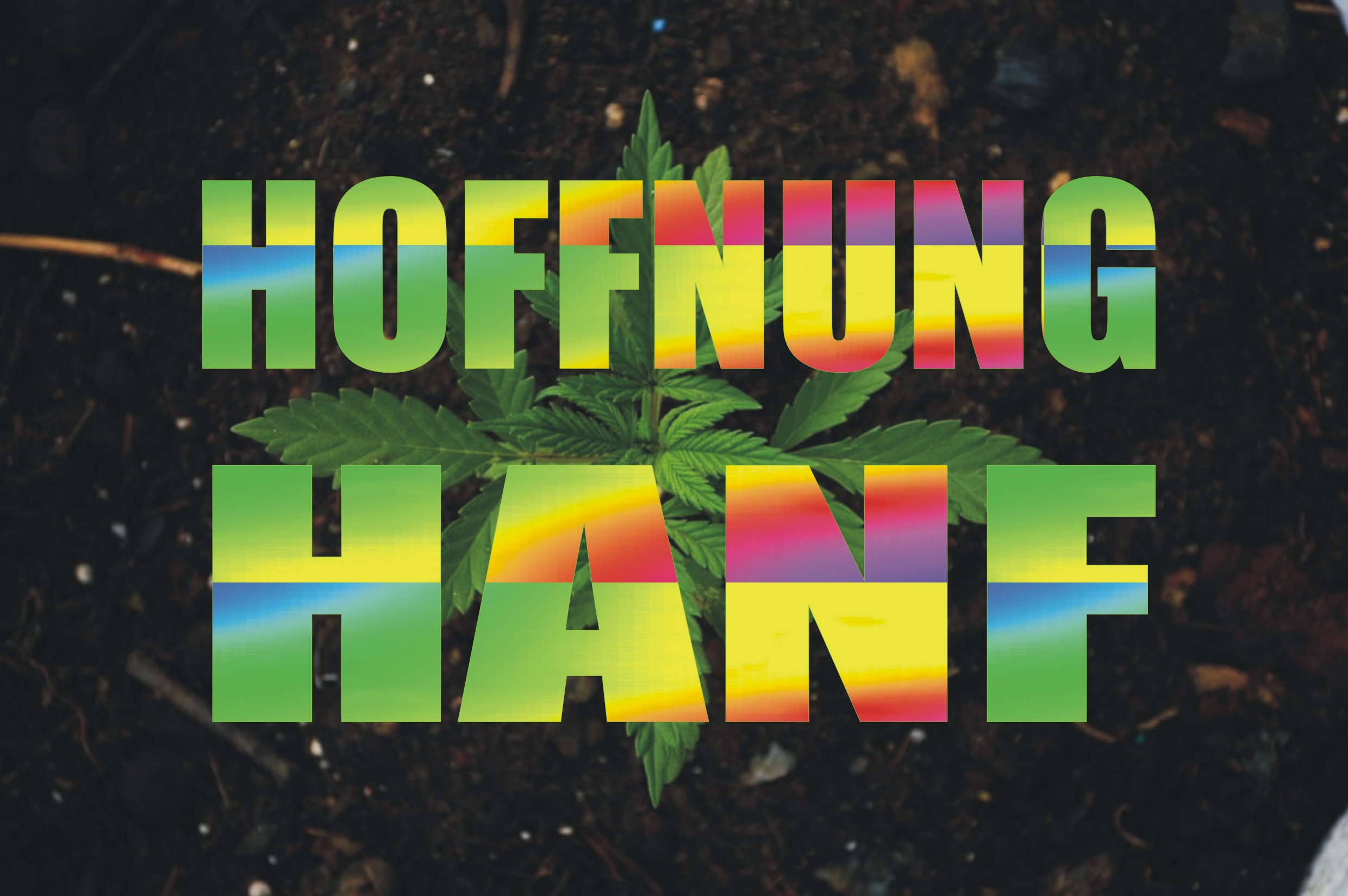 HOFFNUNG HANF