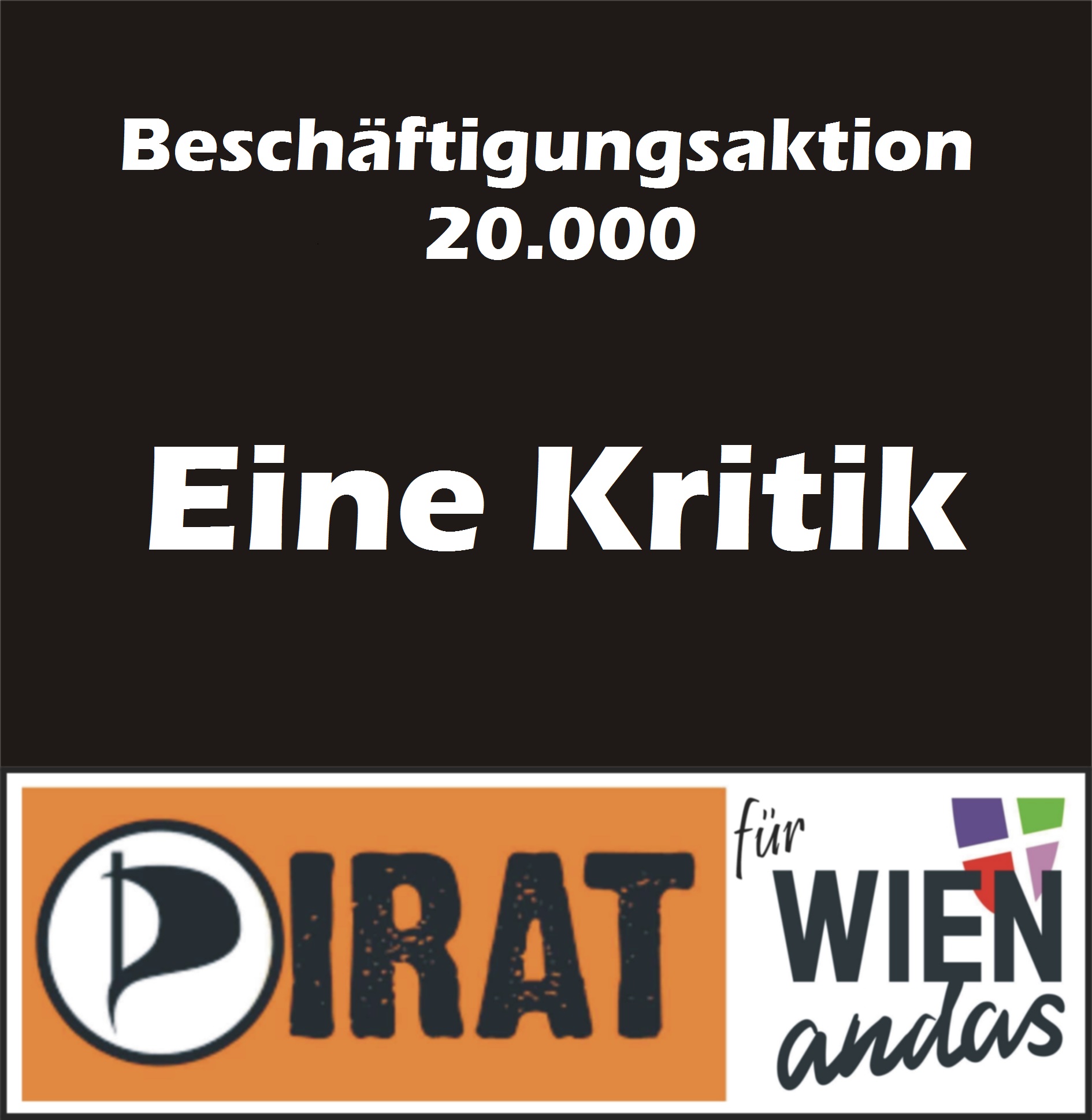 Beschäftigungsaktion 20.000 - eine Kritik