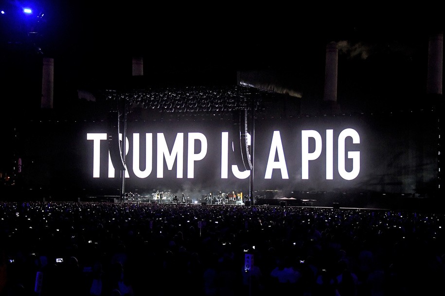 TRUMP IS A PIG
