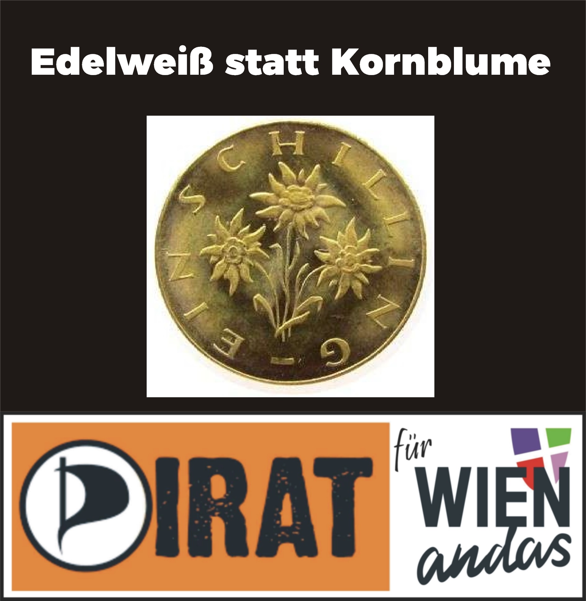 Edelweiß statt Kornblume