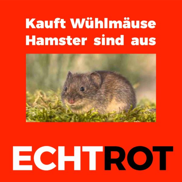 kauft wühlmäuse