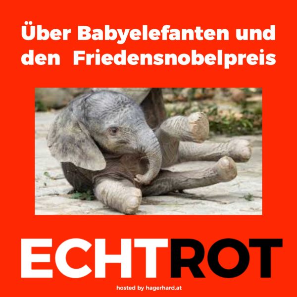 Über Babyelefanten und den Friedensnobelpreis