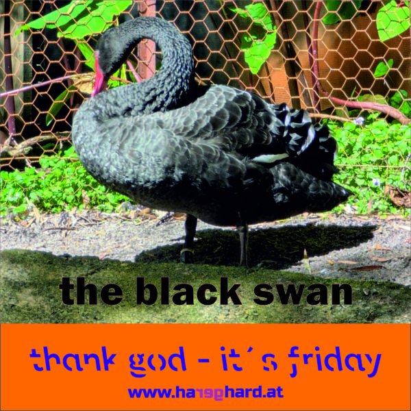 wanna be a black swan